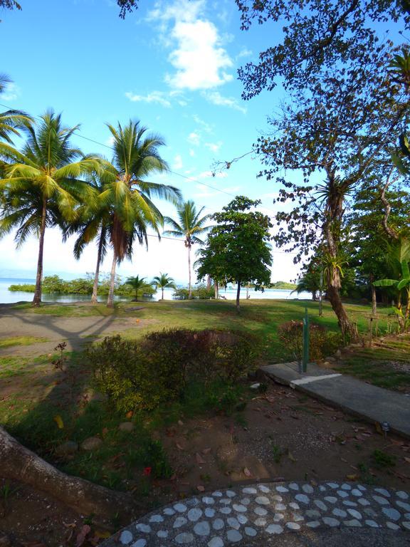 Corcovado Beach Lodge Puerto Jiménez Exterior foto