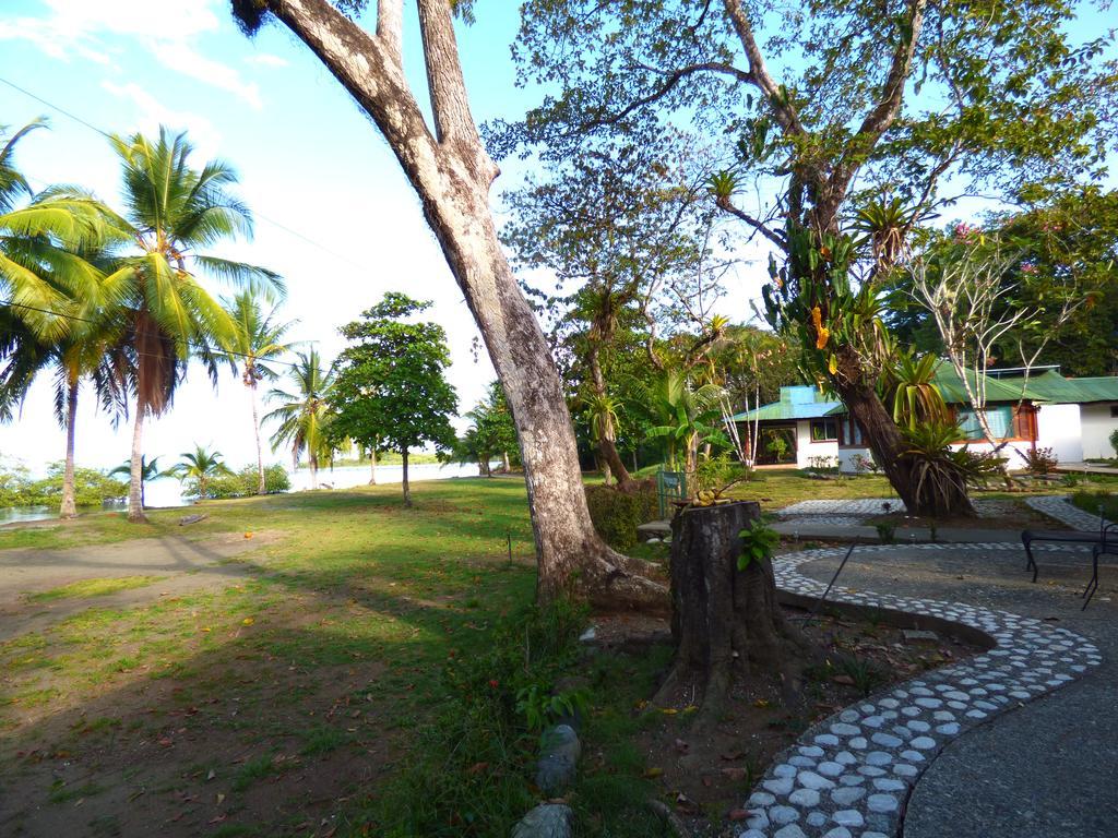 Corcovado Beach Lodge Puerto Jiménez Exterior foto