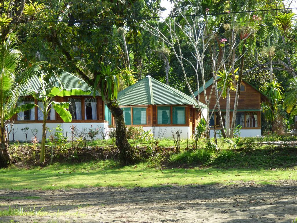 Corcovado Beach Lodge Puerto Jiménez Habitación foto